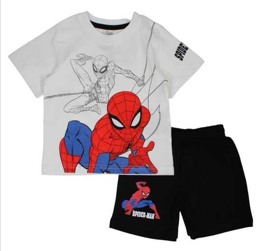 Ensemble spider man
